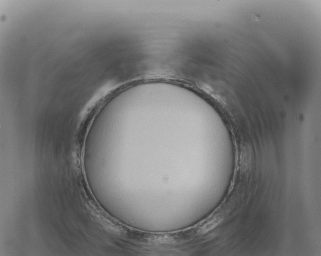 X0000063481454200601271643