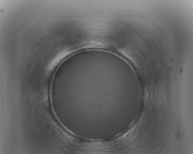 X0000063481455200601271643