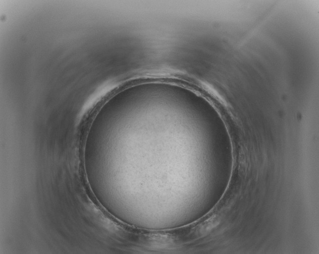 X0000063481456200601271642