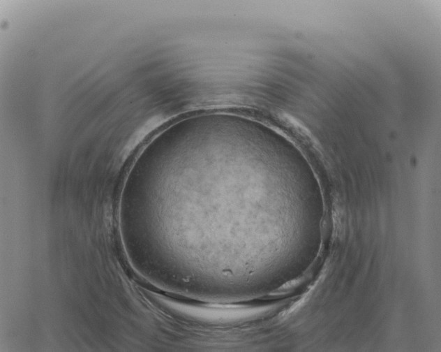 X0000063481457200601271642