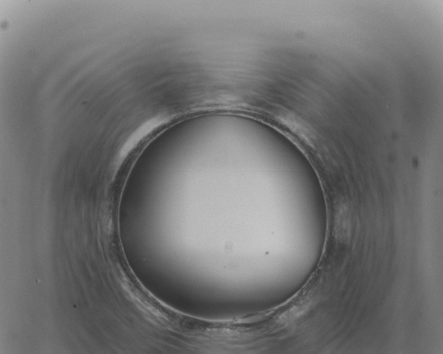 X0000063481458200601271642