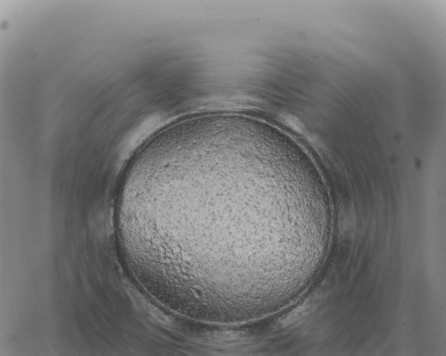 X0000063481459200601271642