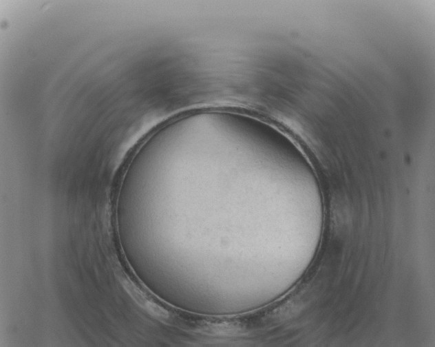 X0000063481460200601271642