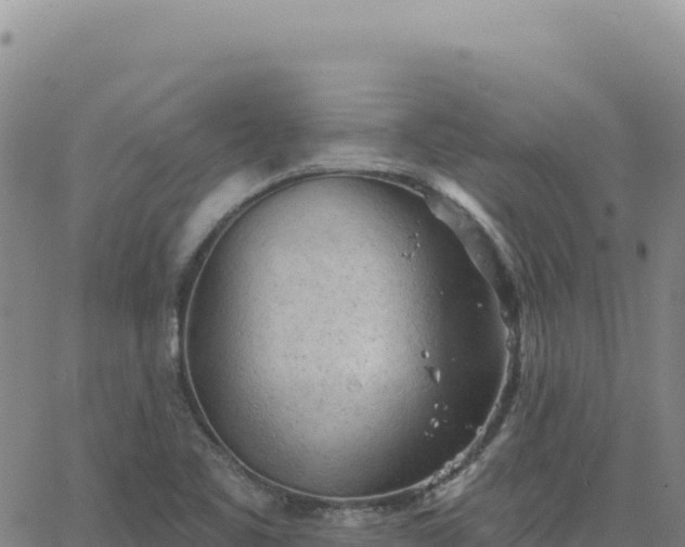 X0000063481461200601271642