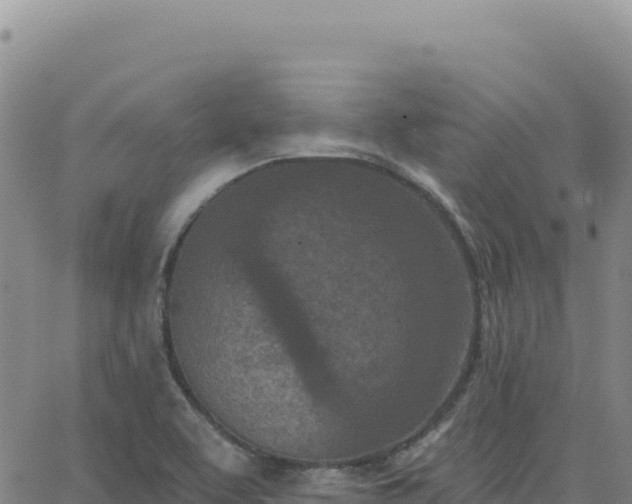 X0000063481463200601271642