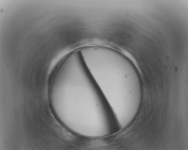 X0000063481464200601271642