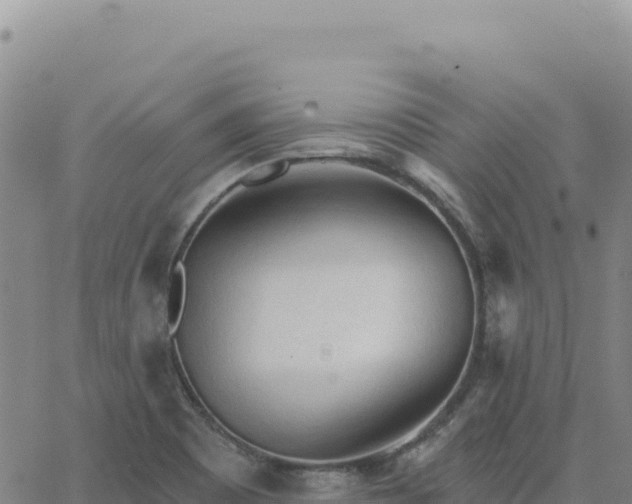 X0000063481465200601271642