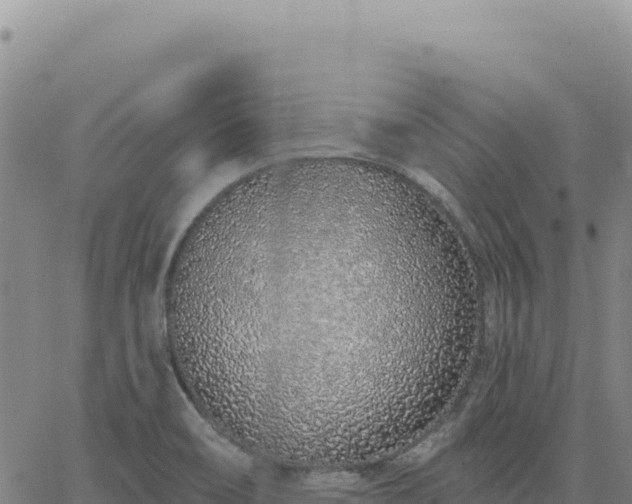 X0000063481466200601271642