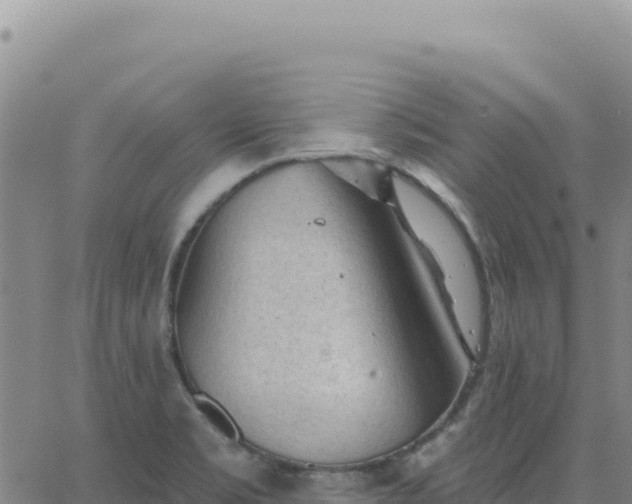 X0000063481469200601271642