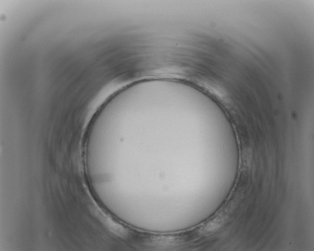 X0000063481470200601271642