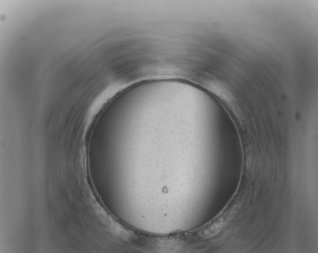 X0000063481472200601271642