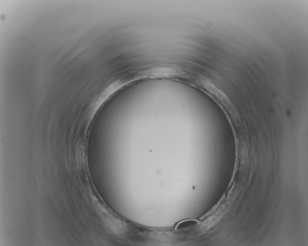 X0000063481473200601271642