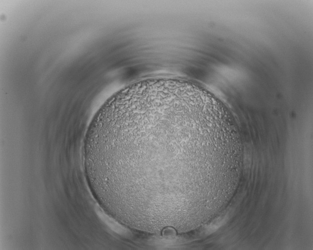 X0000063481474200601271642