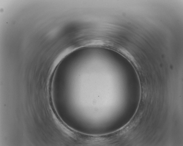 X0000063481475200601271642