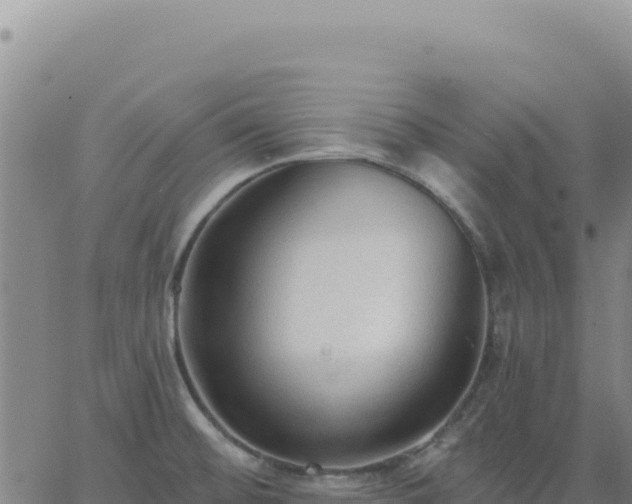 X0000063481476200601271642