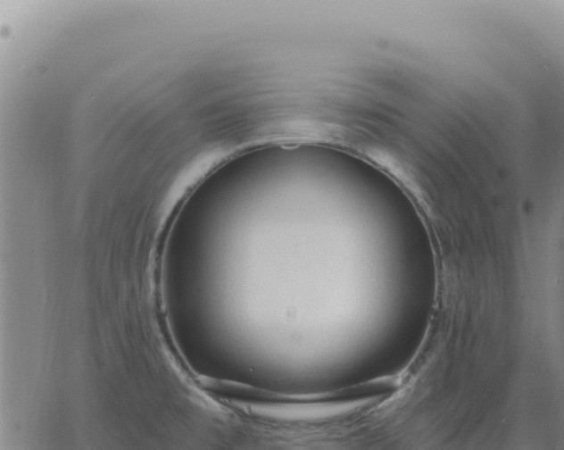 X0000063481477200601271642