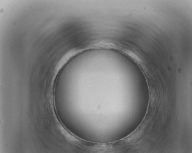 X0000063481478200601271642