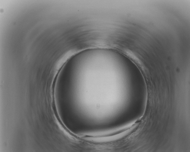 X0000063481479200601271642