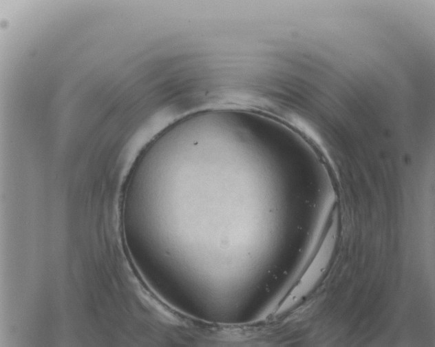 X0000063481480200601271642