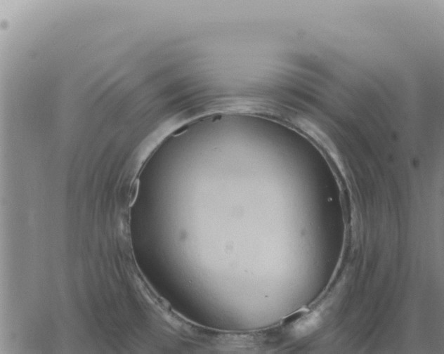 X0000063481481200601271642