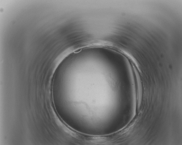 X0000063481483200601271642