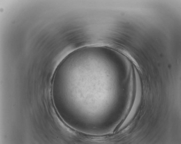 X0000063481484200601271642