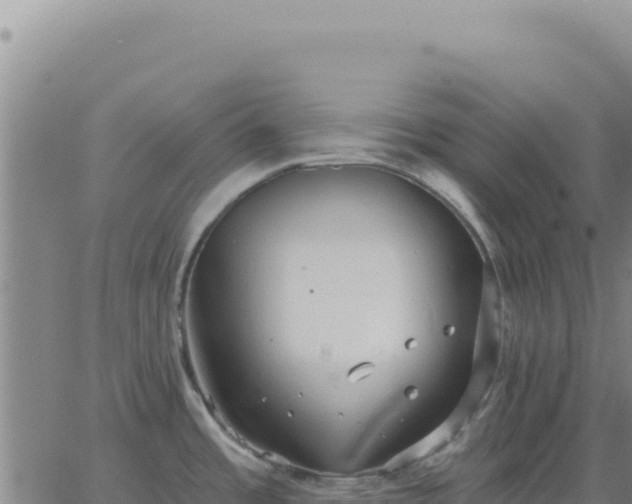 X0000063481485200601271642