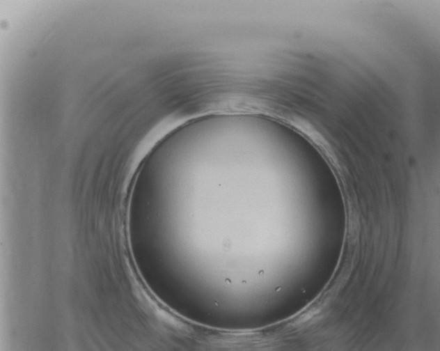 X0000063481486200601271642