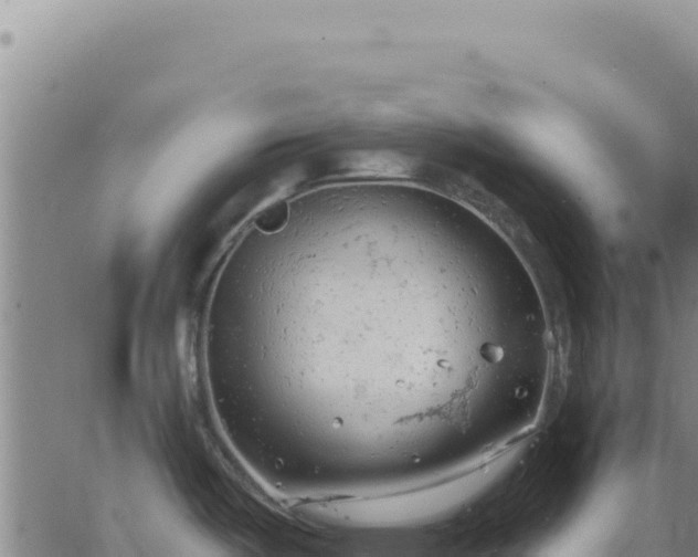 X0000063481487200601271642