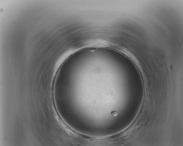 X0000063481488200601271642