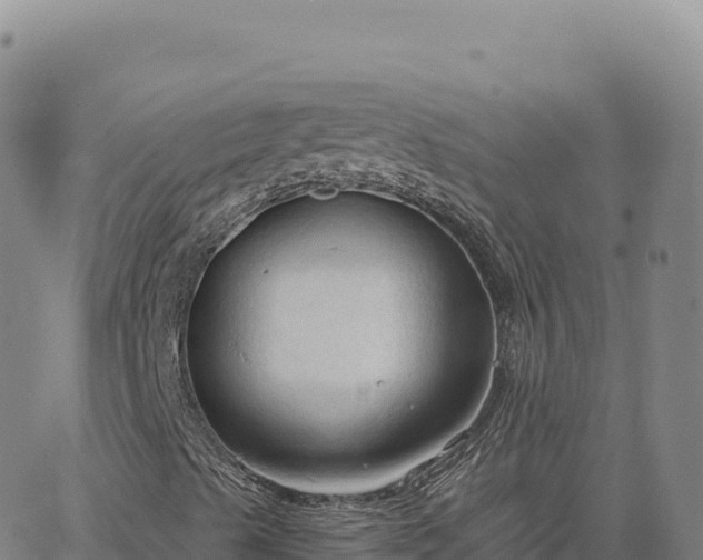 X0000063481489200601271641