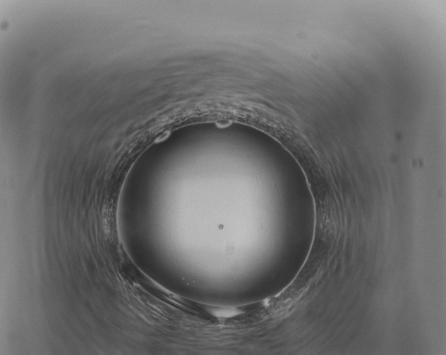 X0000063481490200601271641