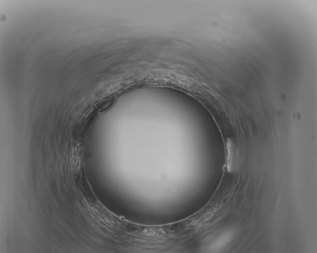 X0000063481491200601271641