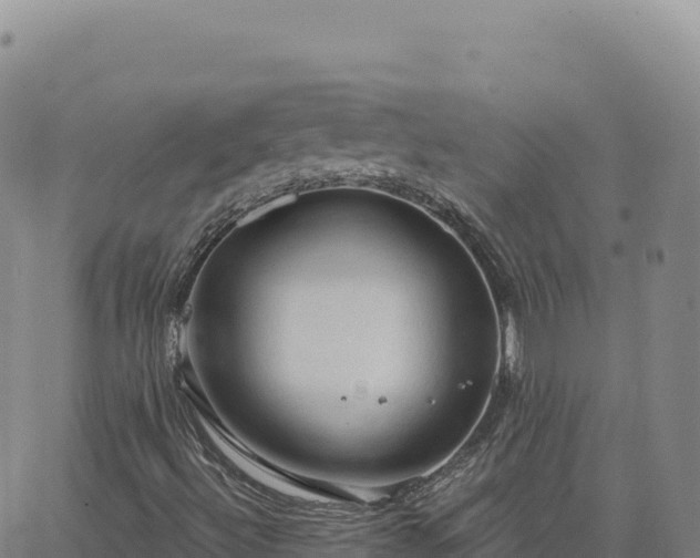 X0000063481492200601271641