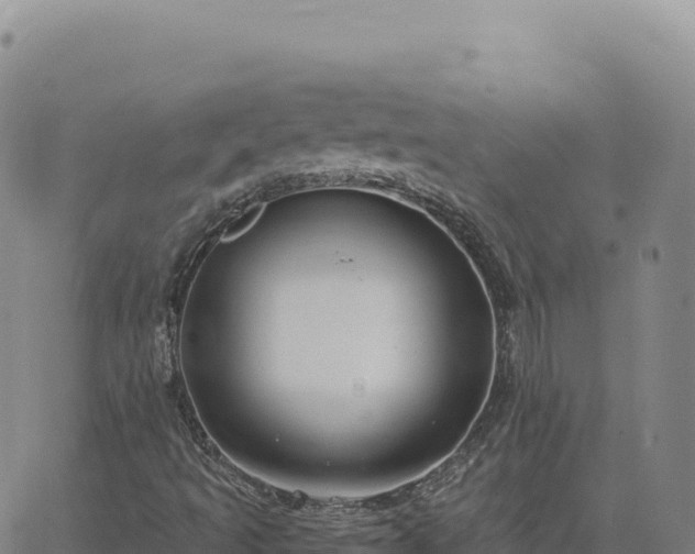 X0000063481493200601271641