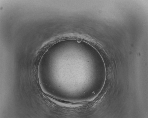 X0000063481494200601271641