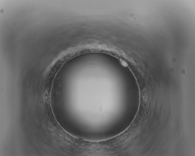 X0000063481495200601271641