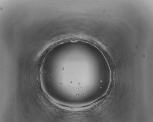 X0000063481496200601271641