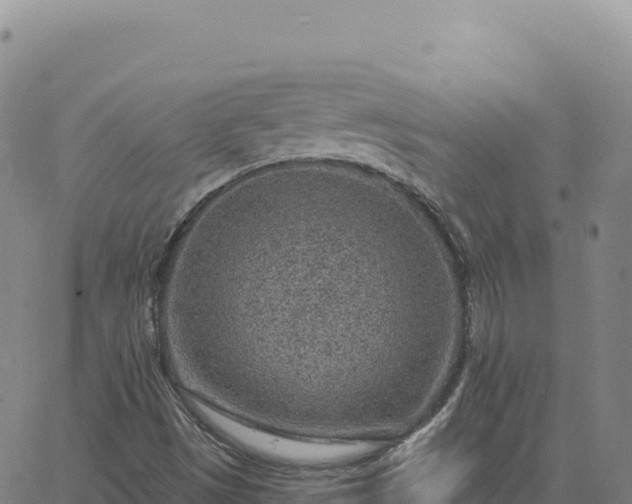 X0000063481497200601271641