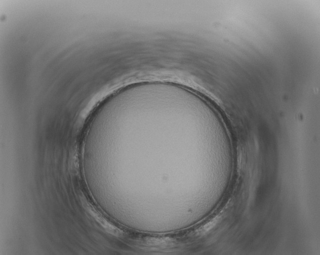 X0000063481498200601271641