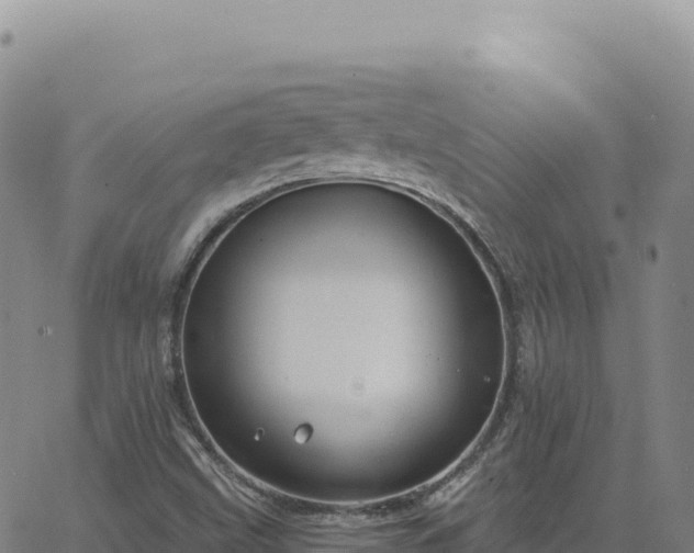 X0000063481499200601271641