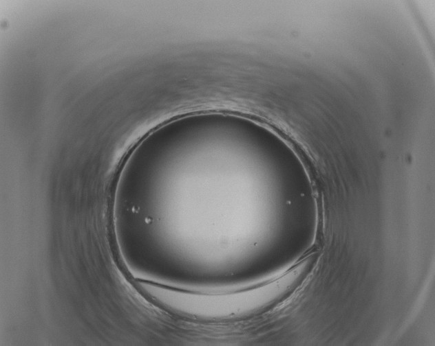 X0000063481500200601271641