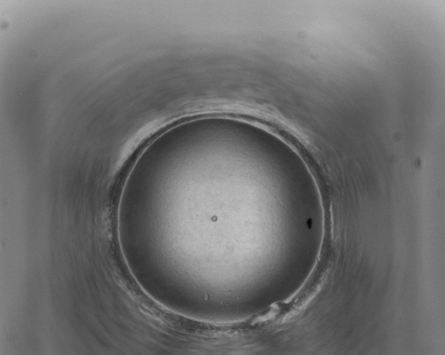 X0000063481501200601271641