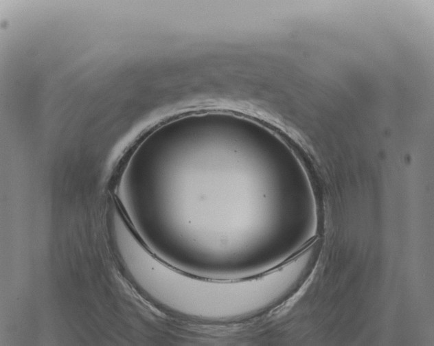 X0000063481502200601271641