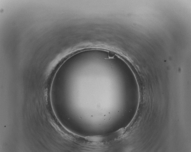 X0000063481503200601271641