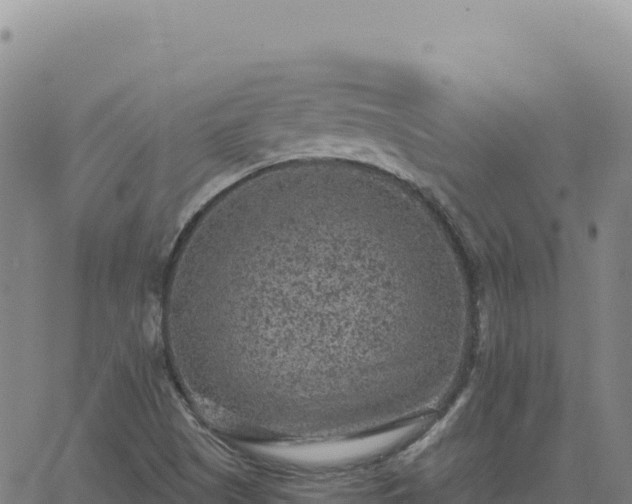 X0000063481505200601271641