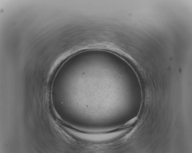 X0000063481506200601271641