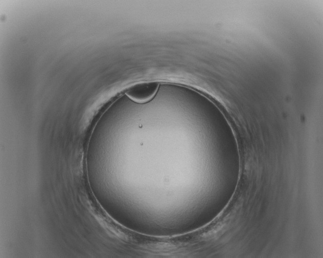 X0000063481507200601271641