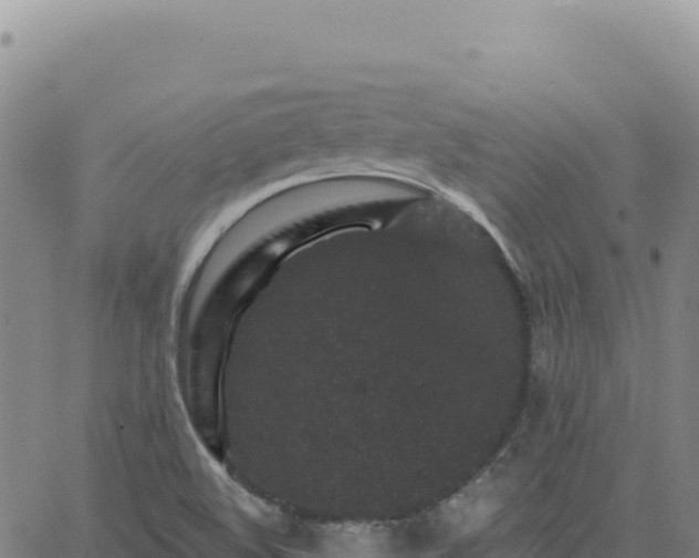 X0000063481508200601271642