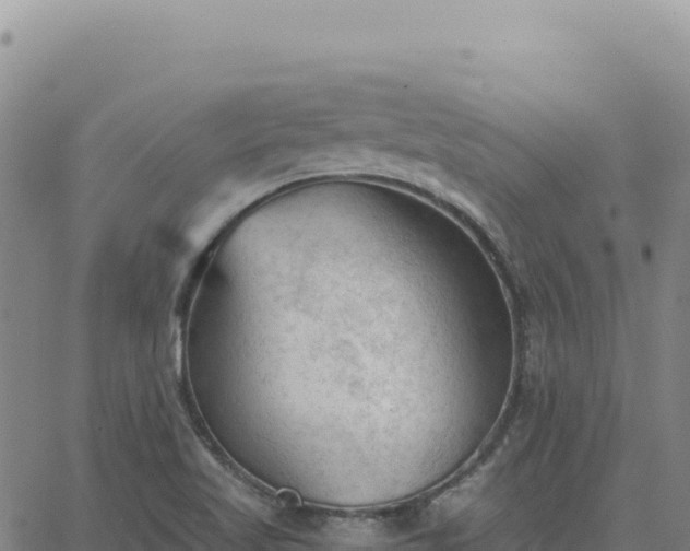 X0000063481509200601271642